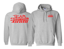 Team Sundown Audio Grey Hoodie